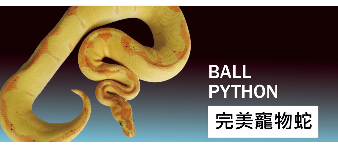 Snake 4