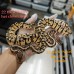 22 Hidden gene woma pastel  het clown 1.0 $1600