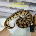 Pair 4900 22 pas OD DH clown Pied M Jan 22 pied 66 het clown F