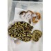 26 pastel OD clown pied x od leo sn  het pied 66 h clown