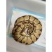 Adult OD enchi pastel female PB $1000