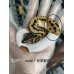 25 哈哈笑系列 pied het axa (mj) x Dh pied axa(mj)