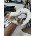 End22 - early 23  (Blackhead) Mojave pied 50% het clown male 1800