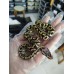 25 chocolate clown x GHI pastel Het clown