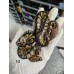 26 Sn gravel clown x chocolate yb het clown 26 Sn gravel clown x chocolate yb het clown