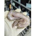 26 Sn gravel clown x chocolate yb het clown 26 Sn gravel clown x chocolate yb het clown