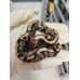 26 Sn gravel clown x chocolate yb het clown 26 Sn gravel clown x chocolate yb het clown
