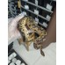Early 25  Spotnose yb clown male,  Clown 0.2