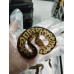 25 confusion yb clown x honey het clown