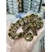25 Bongo clown x Cypress het clown