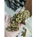 25 leo enchi dg h hypo ph cln x dh dg hypo ph cln