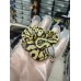 25 pastel dg clown x firefly yb het Dg