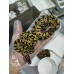 25 pastel desert ghost clown x hgw gravel het clown