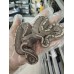 25 BH GHI hypo x butter hypo