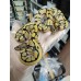 25 leo enchi dg hypo ph cln x dh dg hypo ph cln