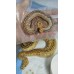 25 spotnose gravel clown x hgw gravel het clown