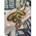 25 sn gravel clown x banana rs het clown