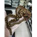 25 ghi bp hurricane h cln x blaze cln
