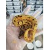 25 OD leopard enchi pied x yb pied het caramel ph axa