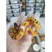 25 OD leopard enchi pied x yb pied het caramel ph axa