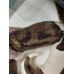 HOLD Adult Pied female 2.5kg , mojave pied 50% h clown male 900g