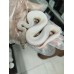 25 pastel highway pied x spider fire yb het pied