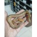 25 spotnose gravel clown x hgw gravel het clown