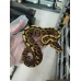 25 spotnose gravel clown x hgw gravel het clown