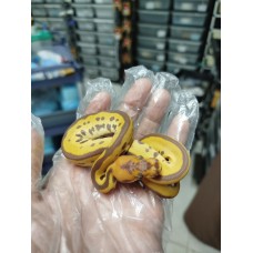 26 OD leo ultra clown 1.0 $9500, OD ultra Het clown 1.0 $3000